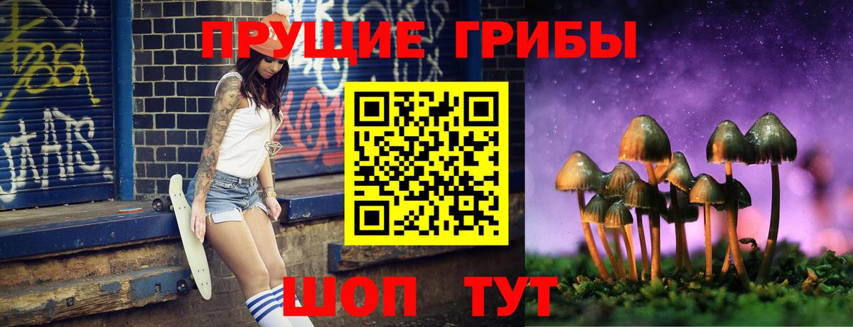 Галлюциногенные грибы MAGIC MUSHROOMS  Вход с VPN  Десногорск  Псилоцибиновые грибы Psilocybe 